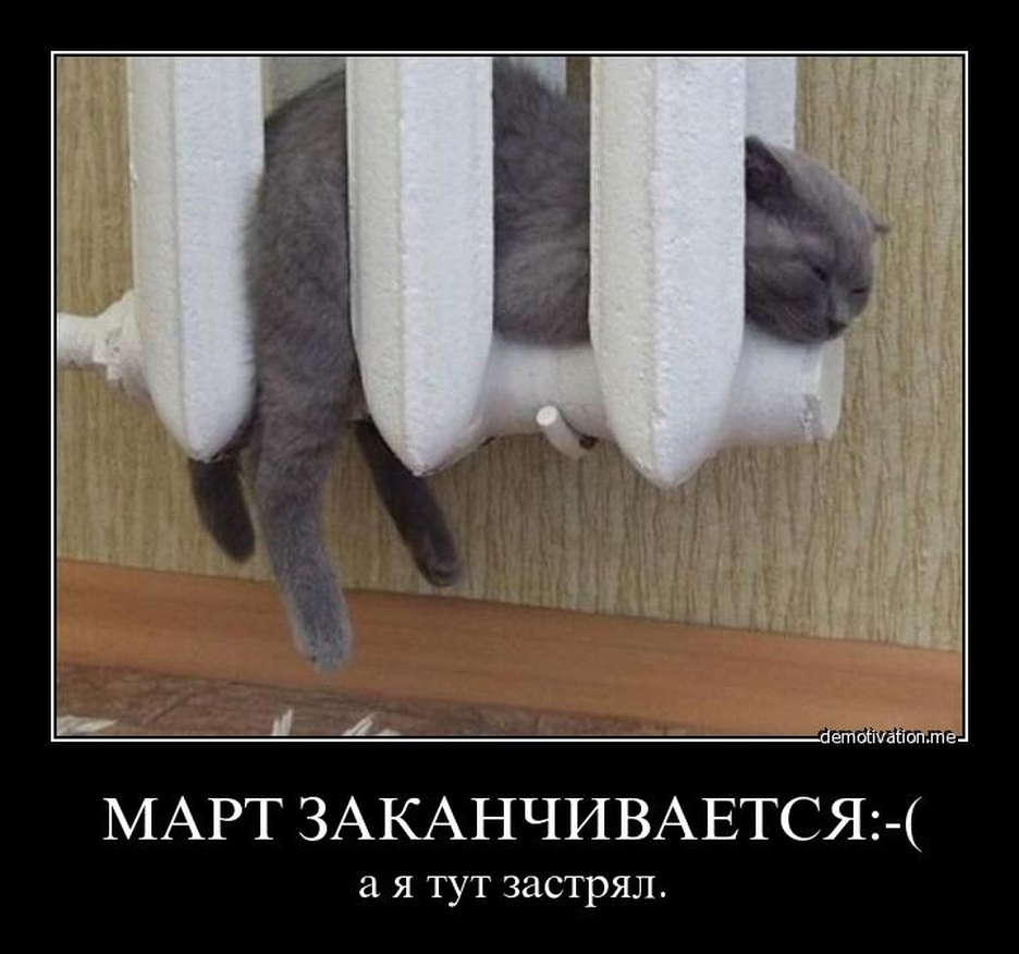 Мотивирующая картинка - 13