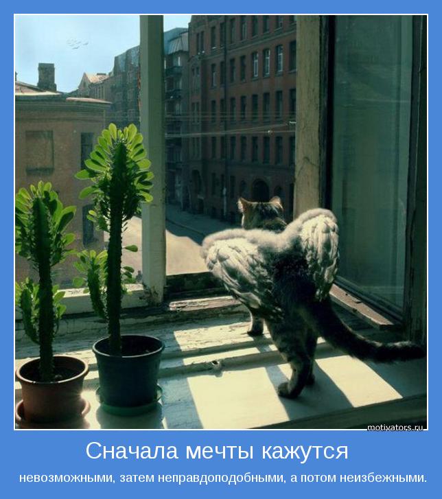 Мотивирующая картинка - 27