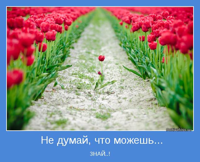 Мотивирующая картинка - 29