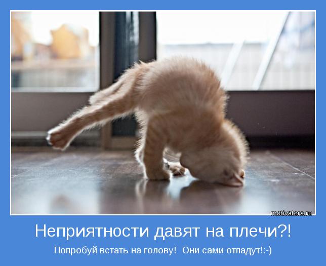 Мотивирующая картинка - 40