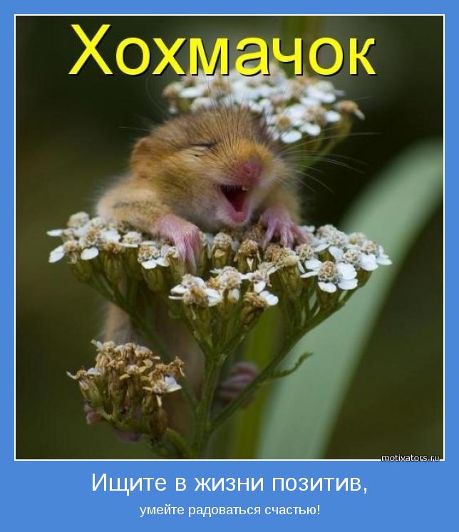 Мотивирующая картинка - 42
